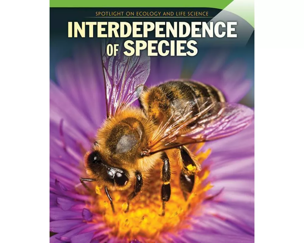 Interdependence of Species