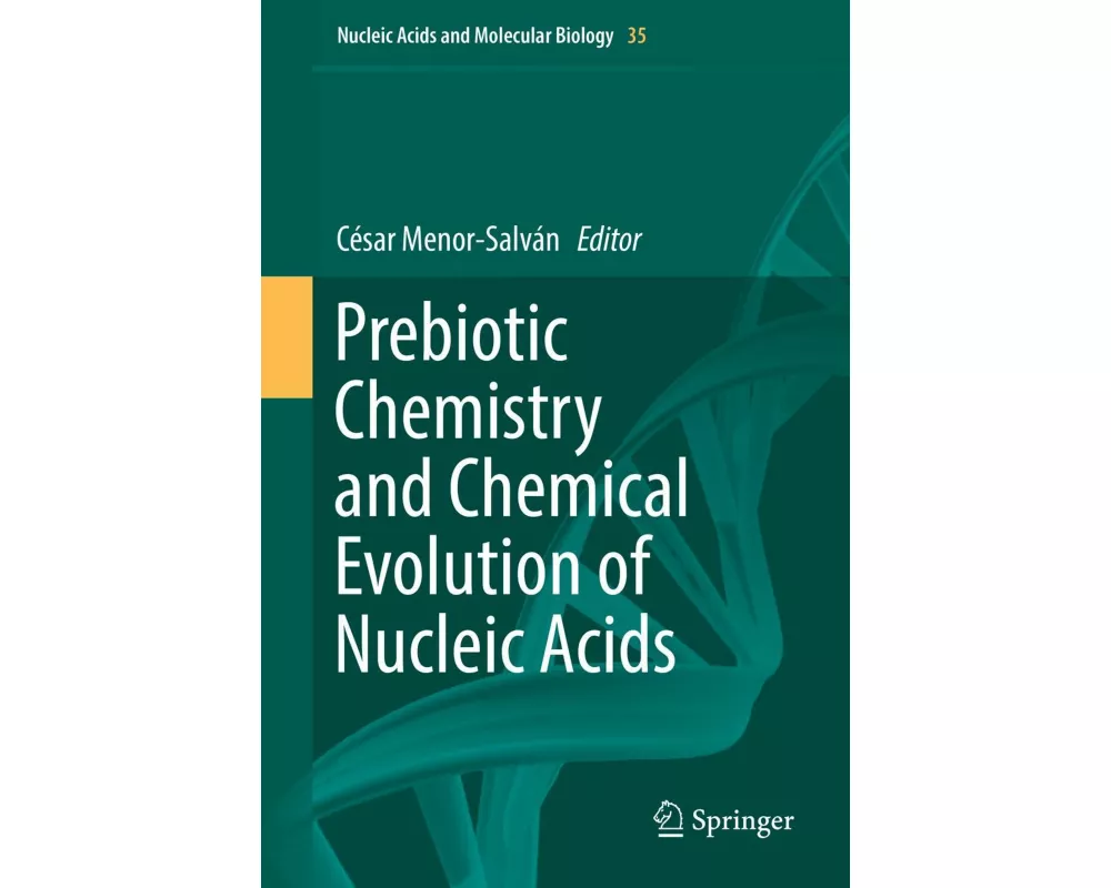 Prebiotic Chemistry and Chemical Evolution of Nucleic Acids