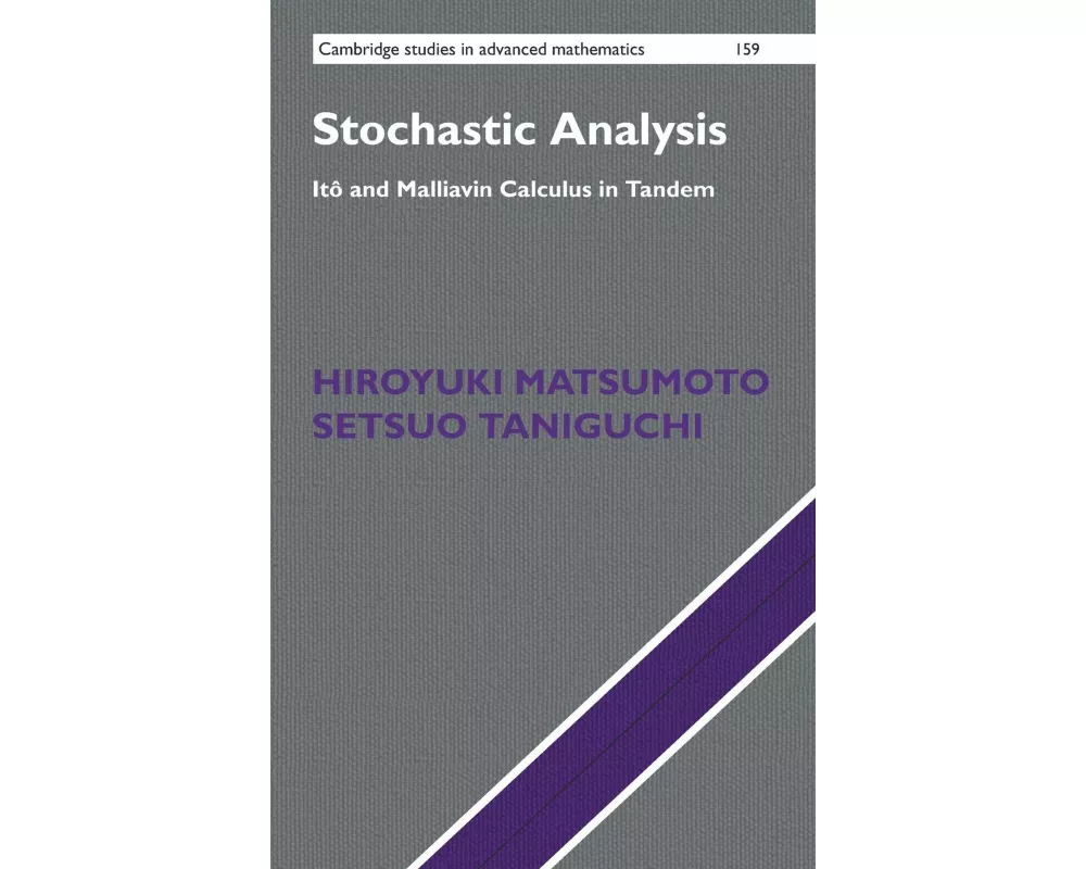 Stochastic Analysis