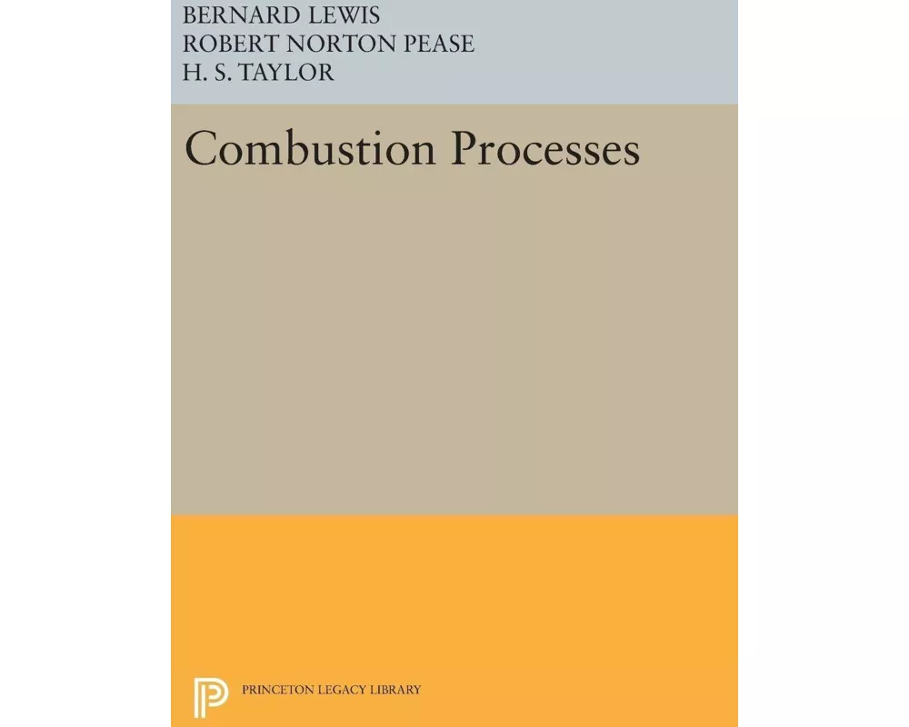 Combustion Processes