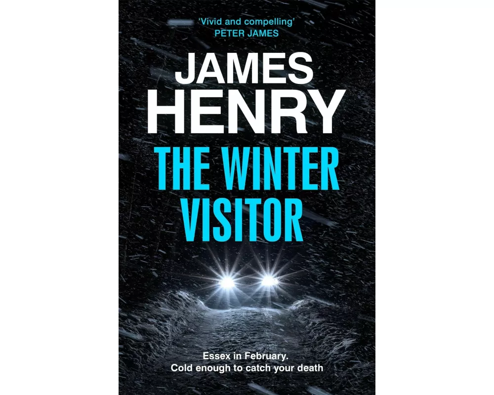 The Winter Visitor