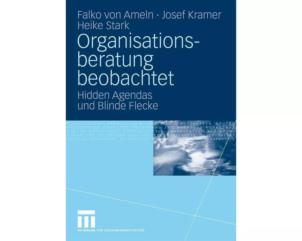 Organisationsberatung beobachtet