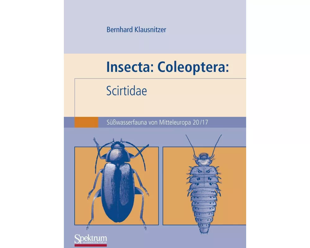 Insecta: Coleoptera: Scirtidae