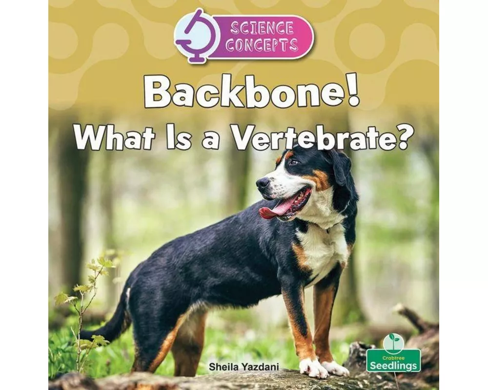Backbone! What Is a Vertebrate?