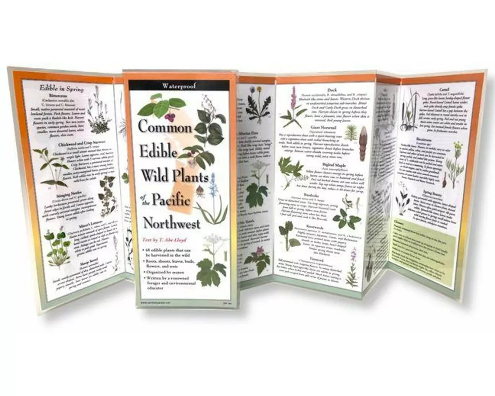 Common Wild Edible Plants of the Pacific Northwest