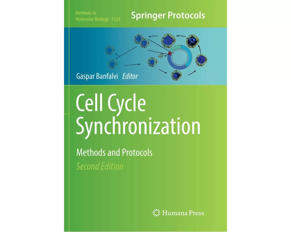 Cell Cycle Synchronization