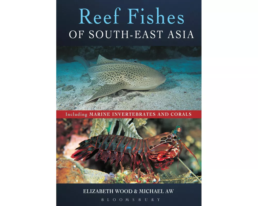 Reef Fishes of South-East Asia