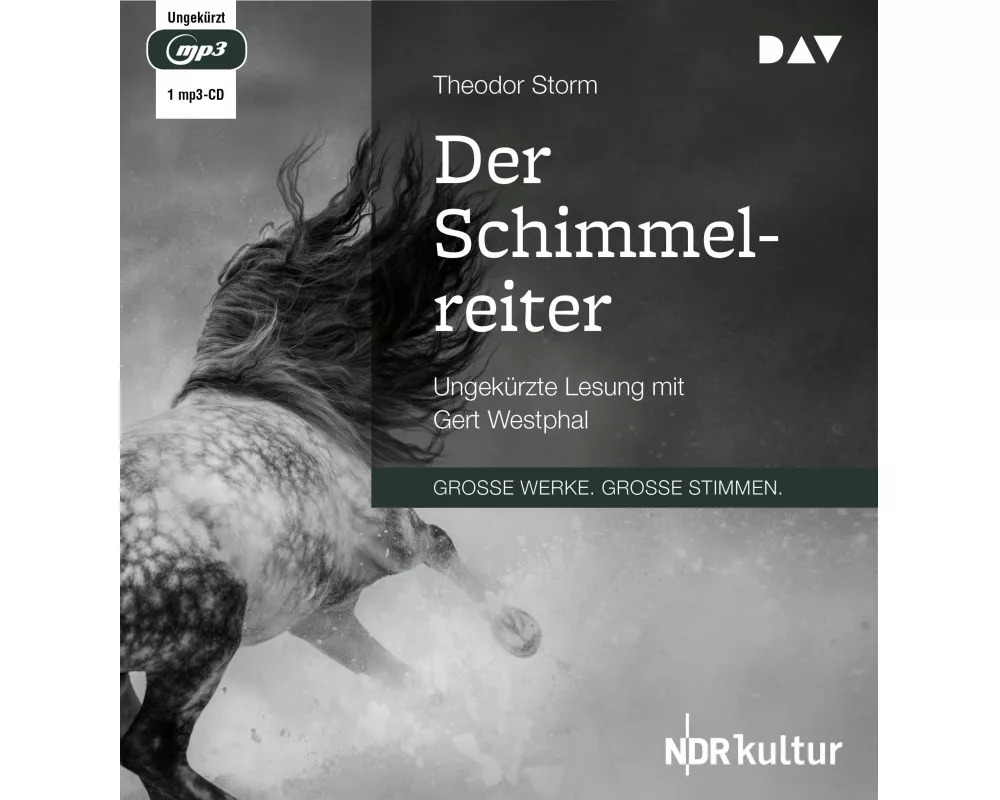 Der Schimmelreiter