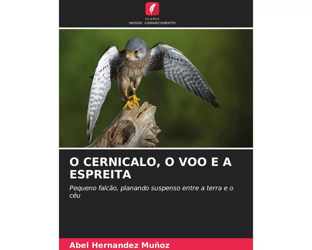 O Cernicalo, O Voo E A Espreita