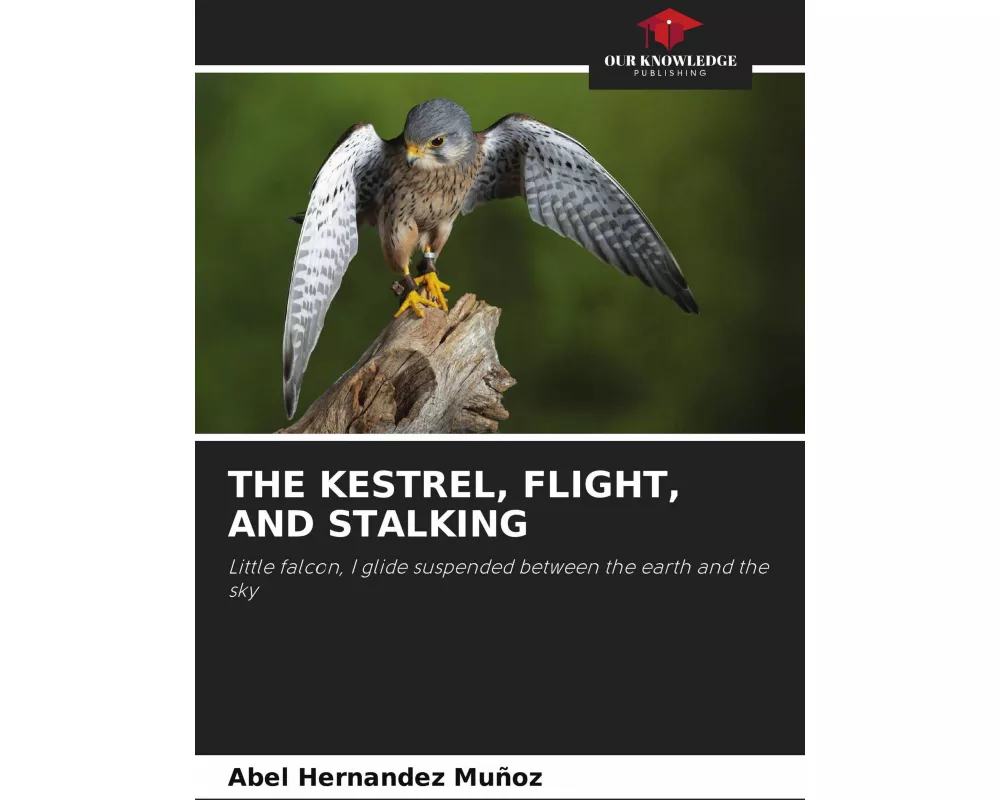 The Kestrel, Flight, And Stalking