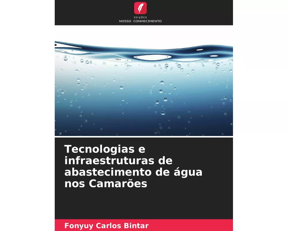 Tecnologias e infraestruturas de abastecimento de água nos Camarões