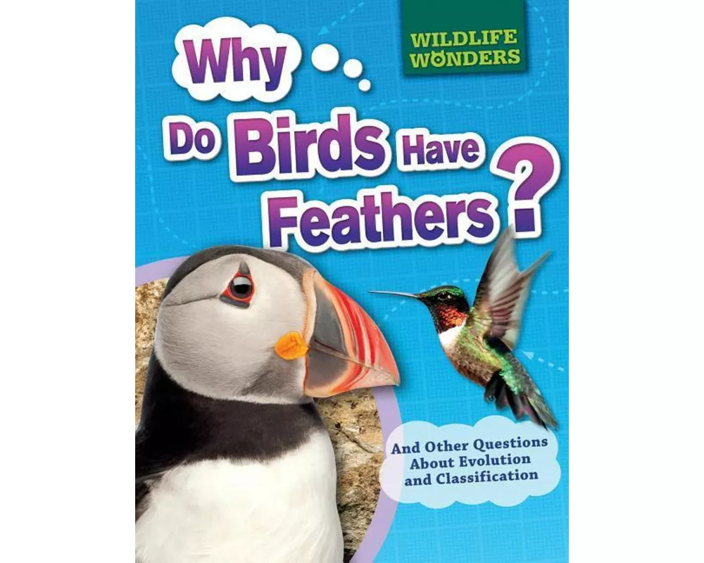 Why Do Birds Have Feathers?
