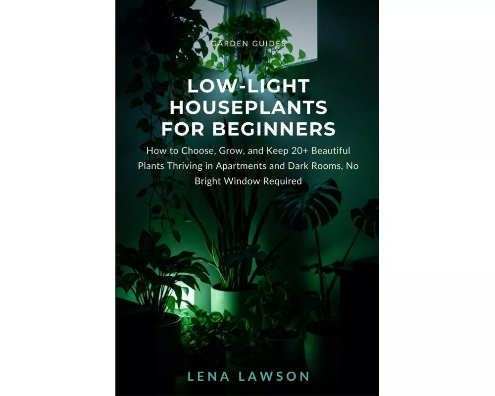 Low-Light Houseplants for Beginners