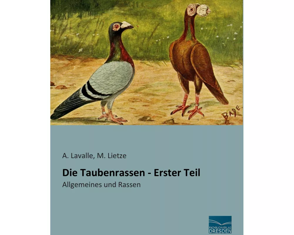 Die Taubenrassen - Erster Teil