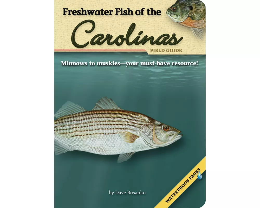 Freshwater Fish of the Carolinas Field Guide