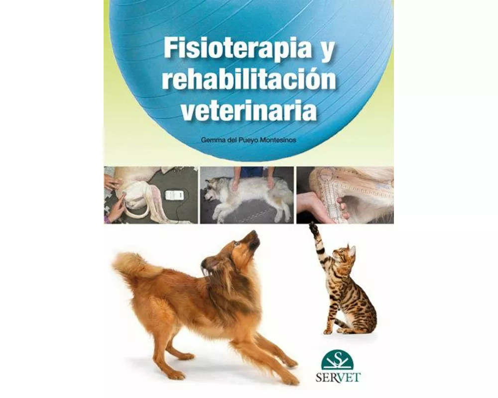 Fisioterapia Y Rehabilitación