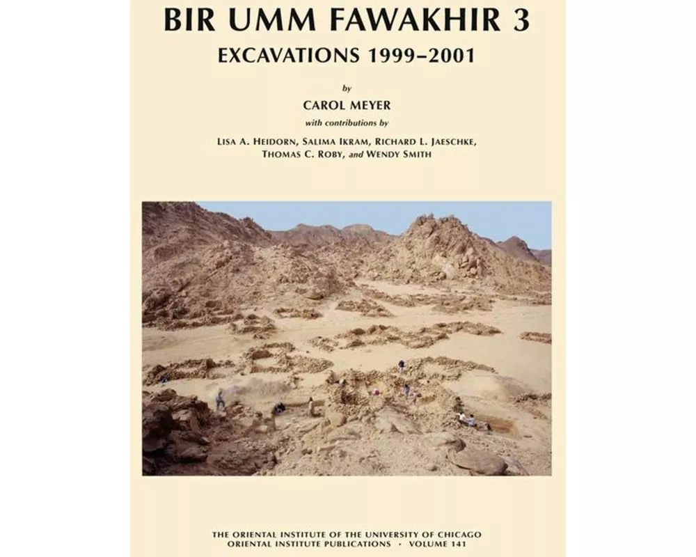Bir Umm Fawakhir 3