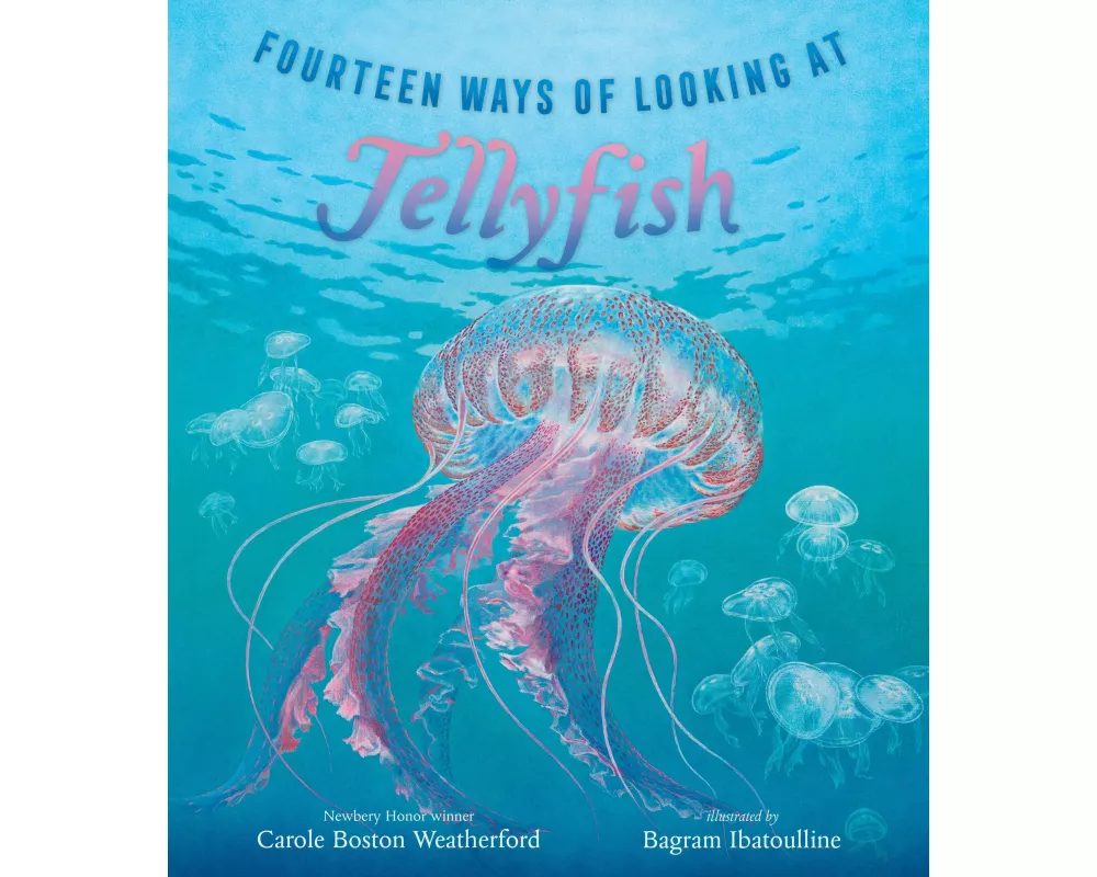 Fourteen Ways of Looking at Jellyfish