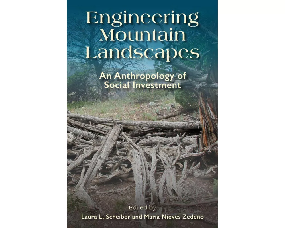 Engineering Mountain Landscapes