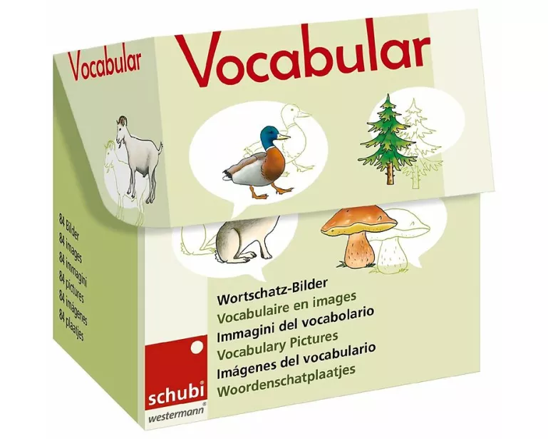 Vocabular