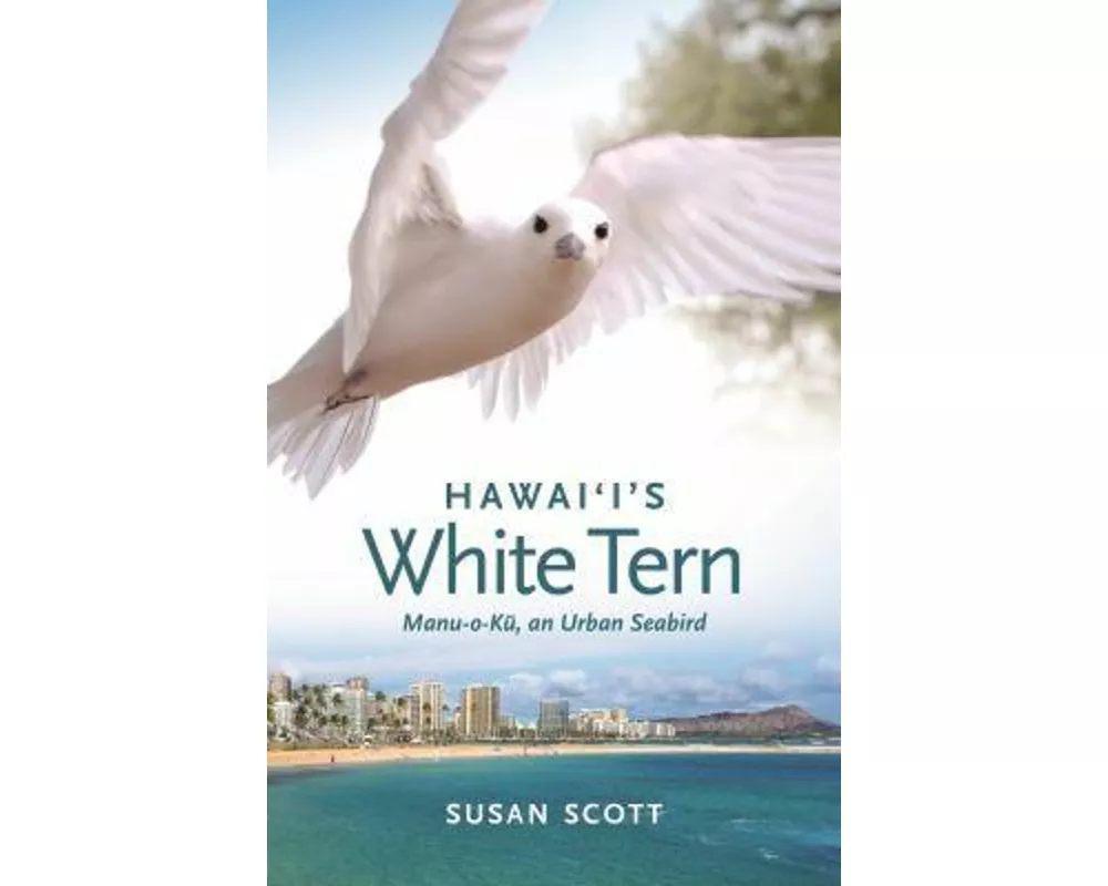 Hawai'i's White Tern