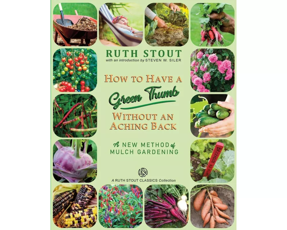 How to Have a Green Thumb Without an Aching Back