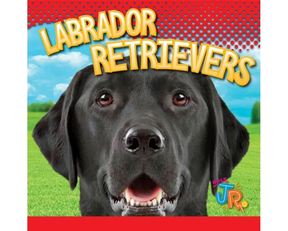 Labrador Retrievers