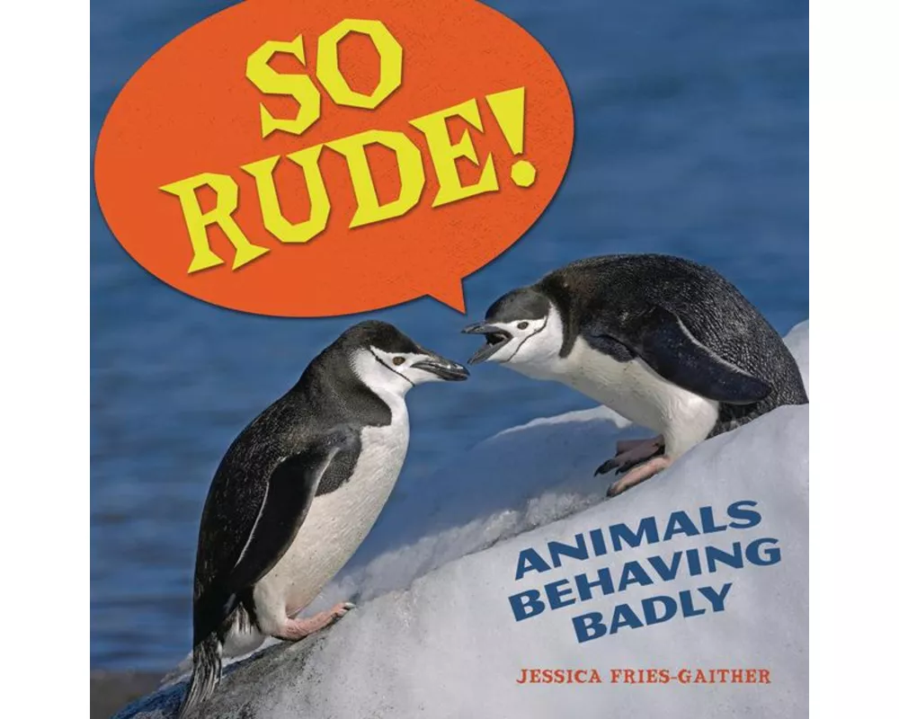 So Rude!
