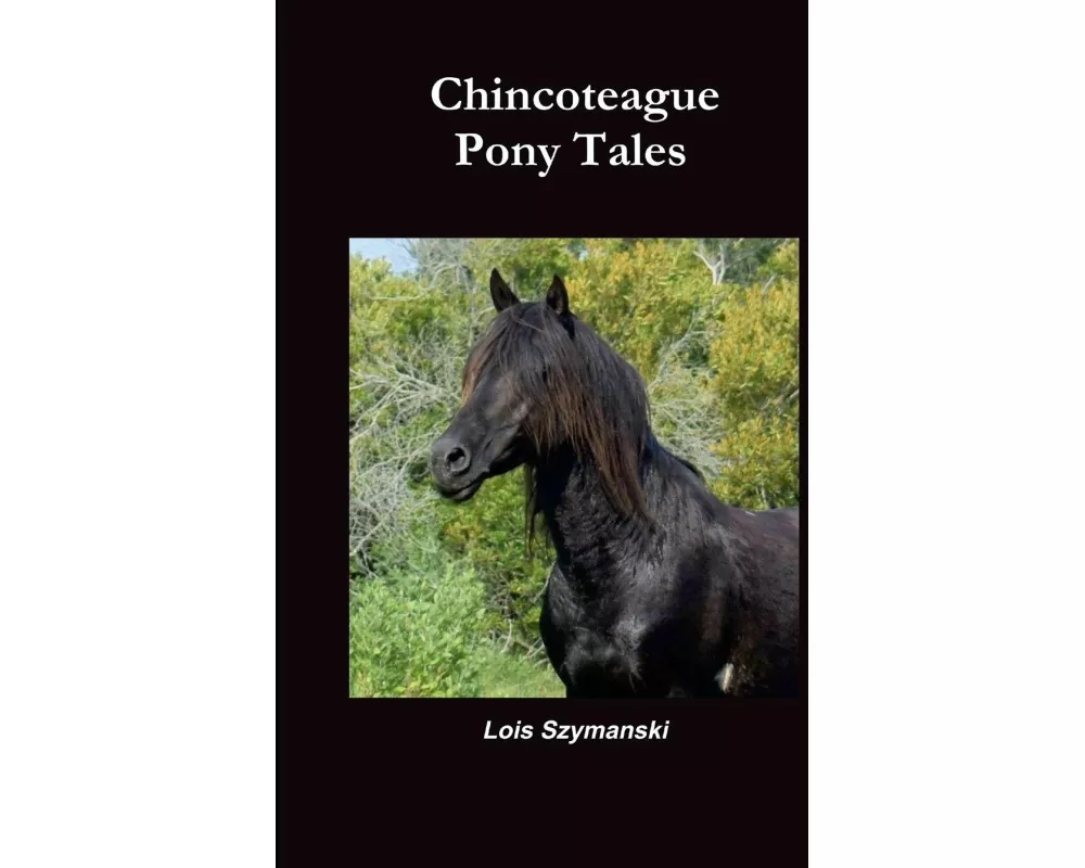 Chincoteague Pony Tales