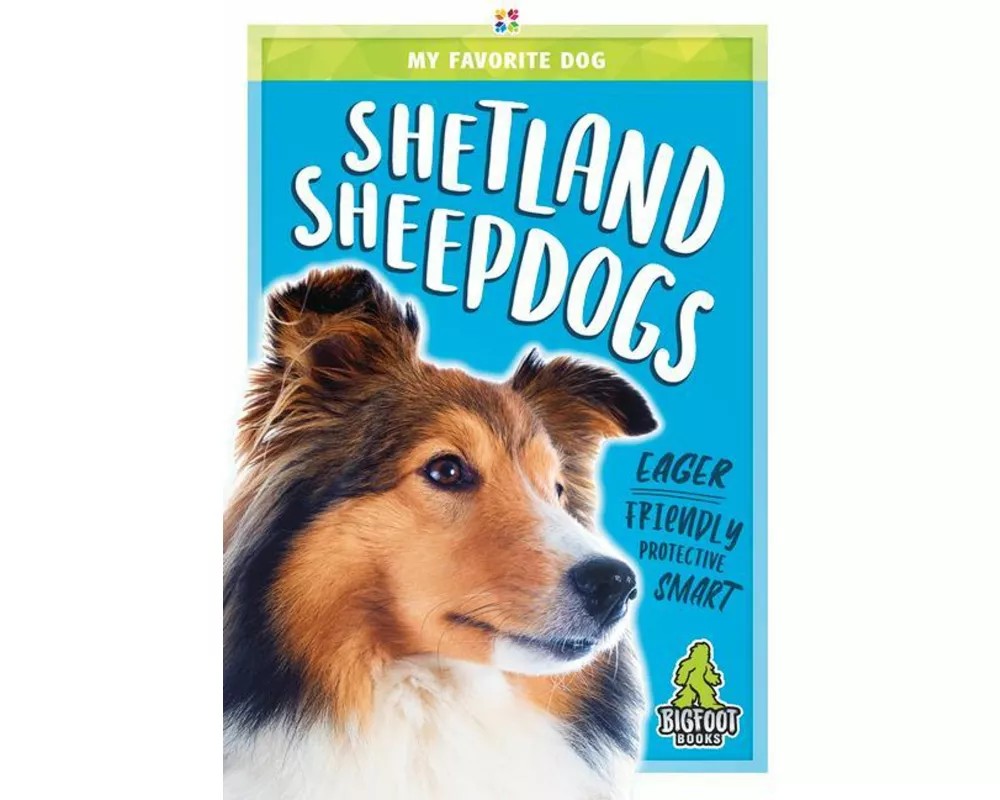 Shetland Sheepdogs