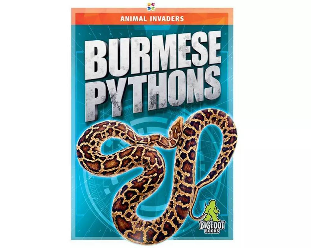 Burmese Pythons