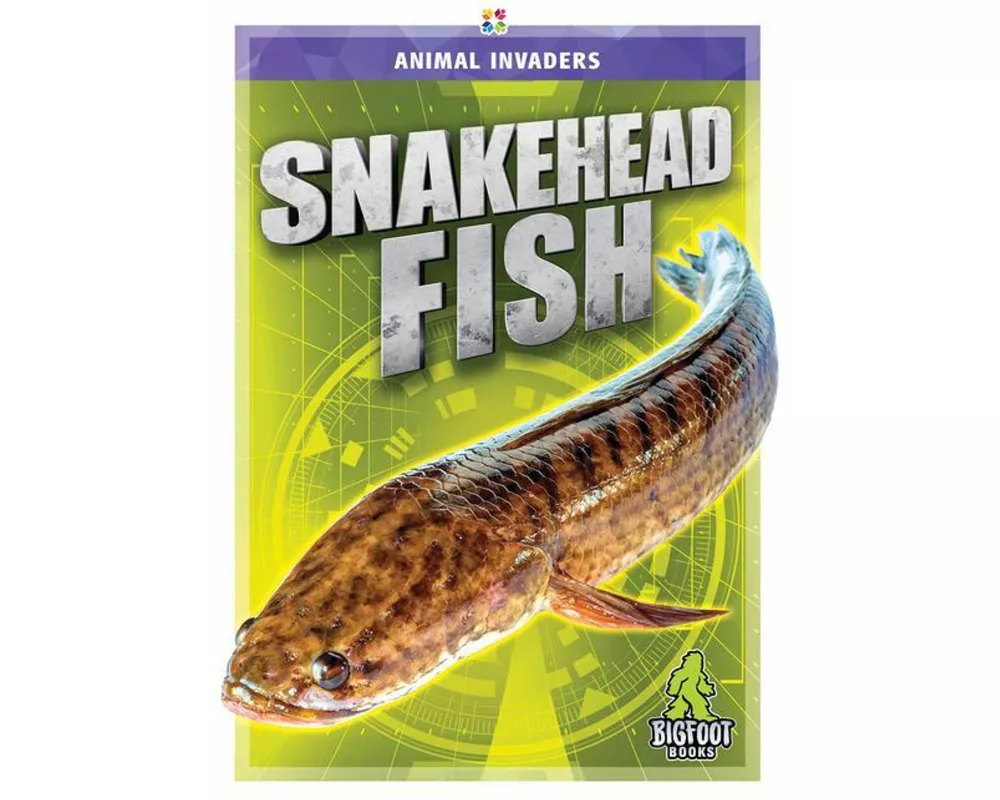 Snakehead Fish