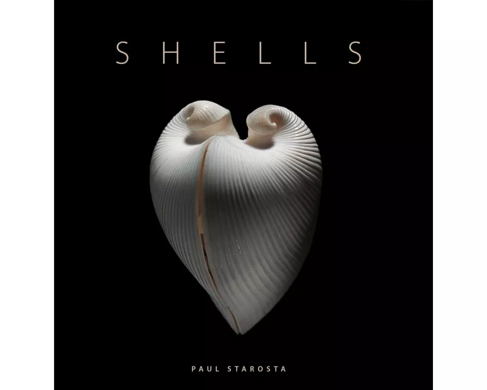 Shells