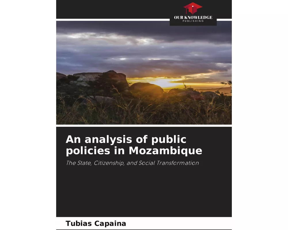 An analysis of public policies in Mozambique