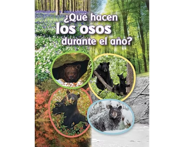 ¿Qué Hacen Los Osos Durante El Año?