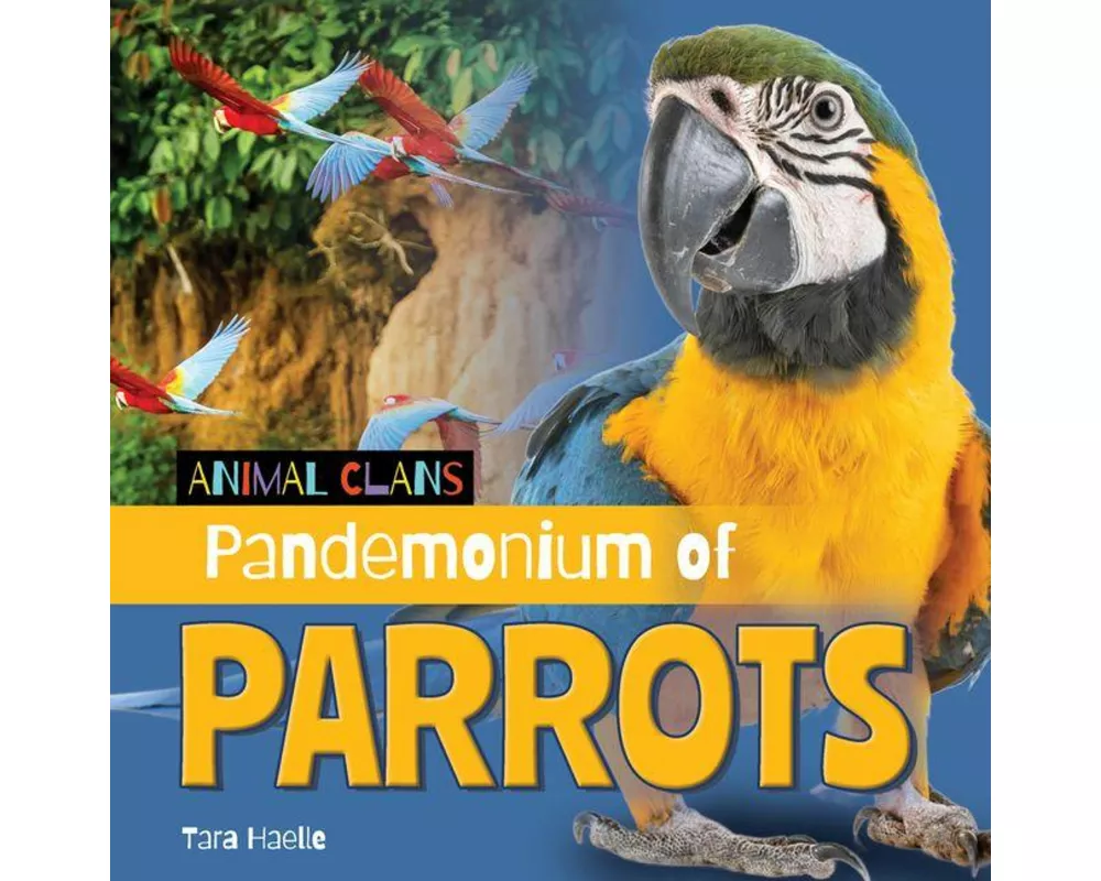 Pandemonium of Parrots