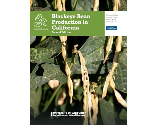 Blackeye Bean Production in California