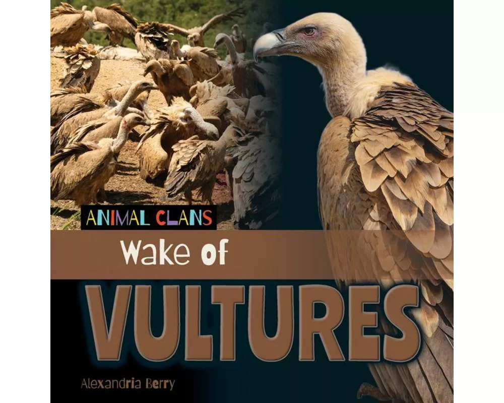 Wake of Vultures
