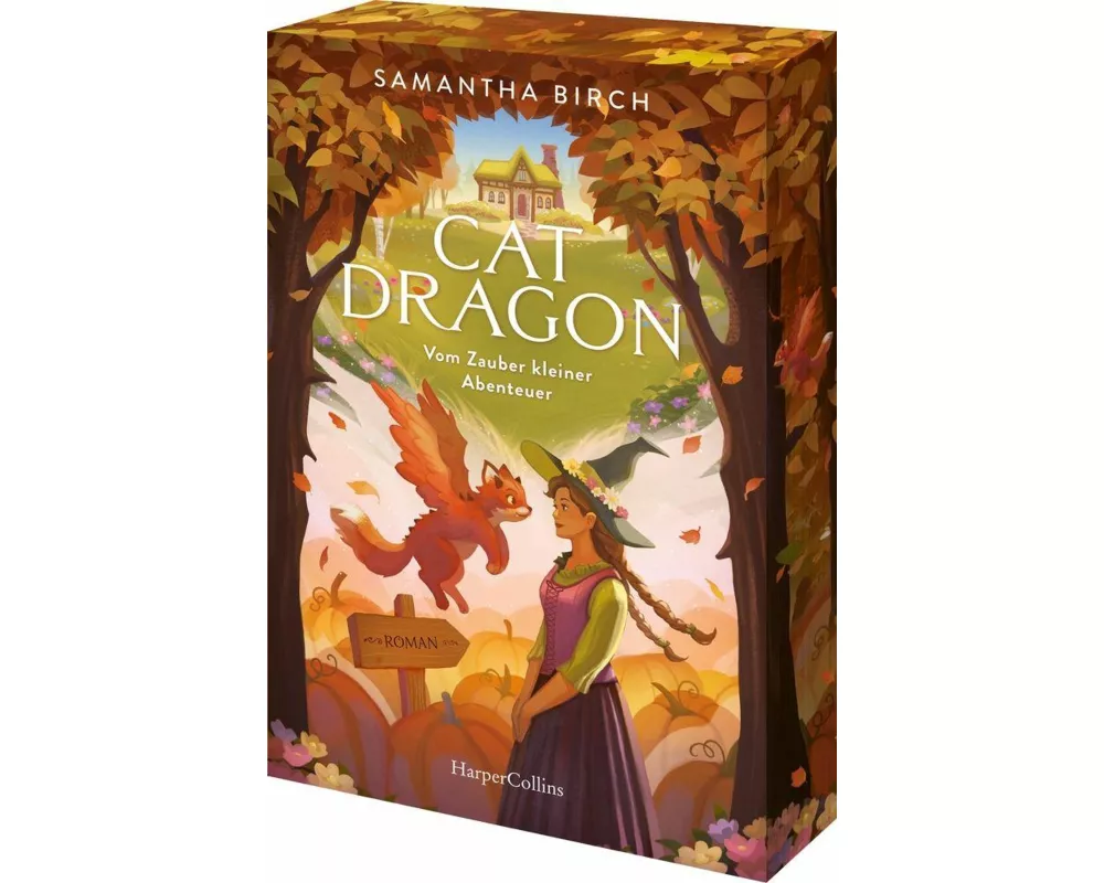 Cat Dragon: Vom Zauber kleiner Abenteuer