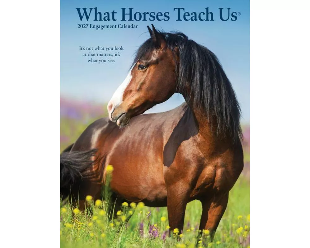 What Horses Teach Us 2027 Engagement