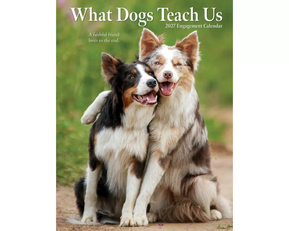 What Dogs Teach Us 2027 Engagement