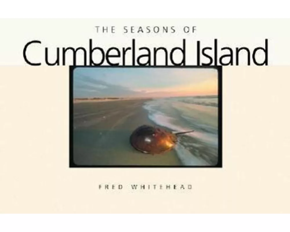 The Seasons of Cumberland Island