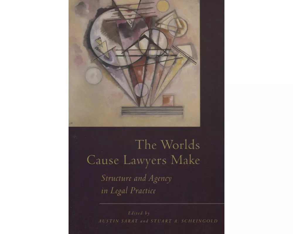 The Worlds Cause Lawyers Make