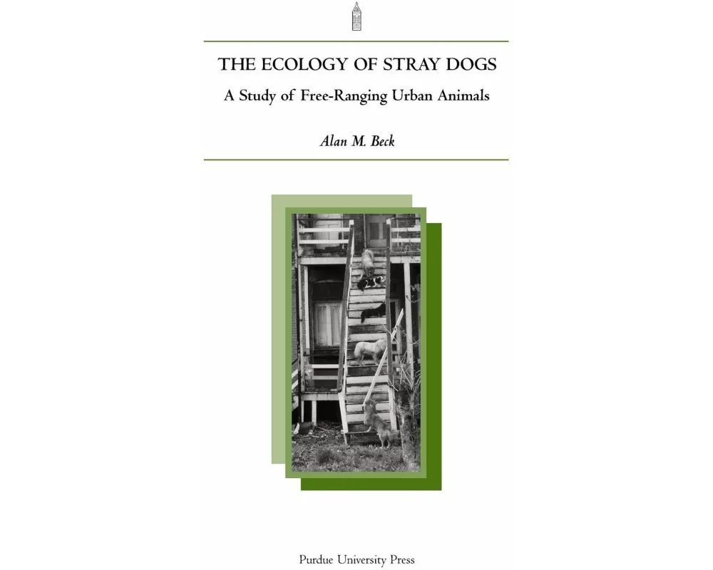 Ecology of Stray Dogs