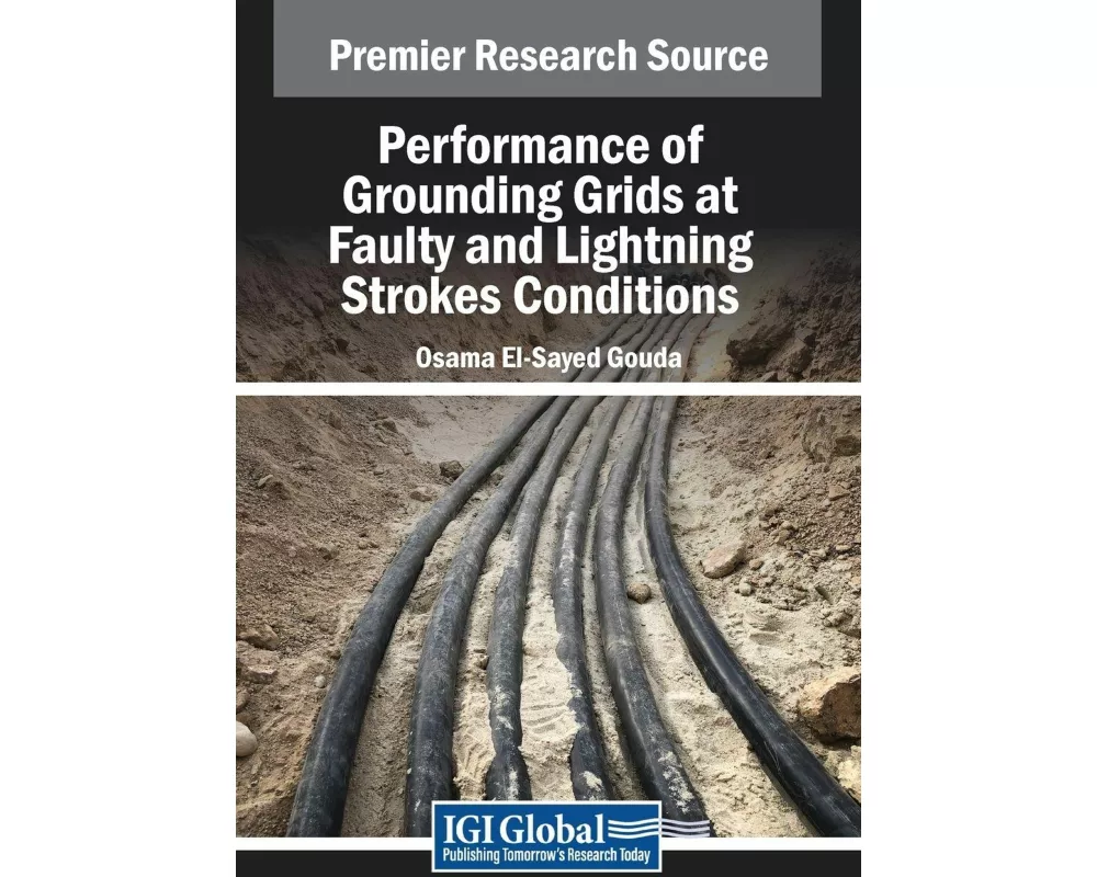Performance of Grounding Grids at Faulty and Lightning Strokes Conditions