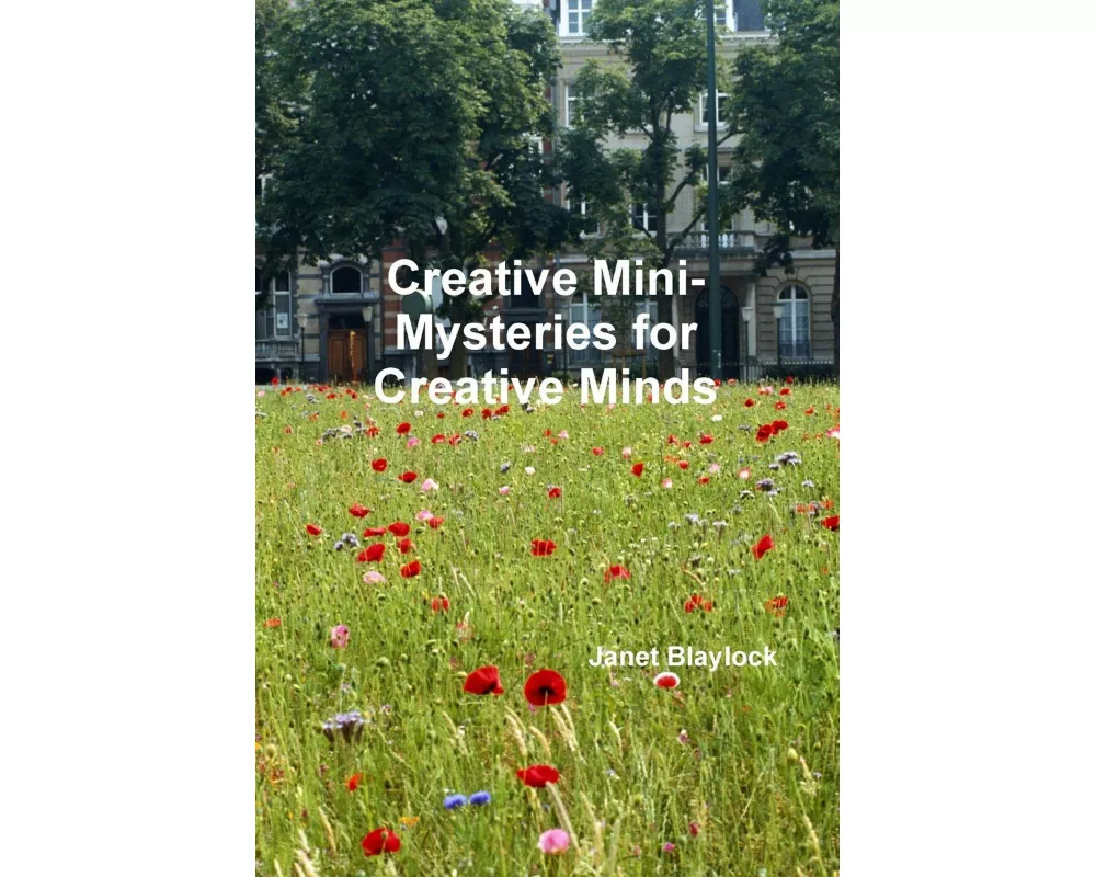 Creative Mini-Mysteries for Creative Minds
