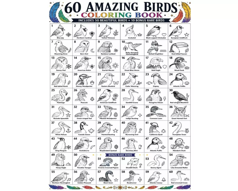 60 Amazing Birds Coloring Book