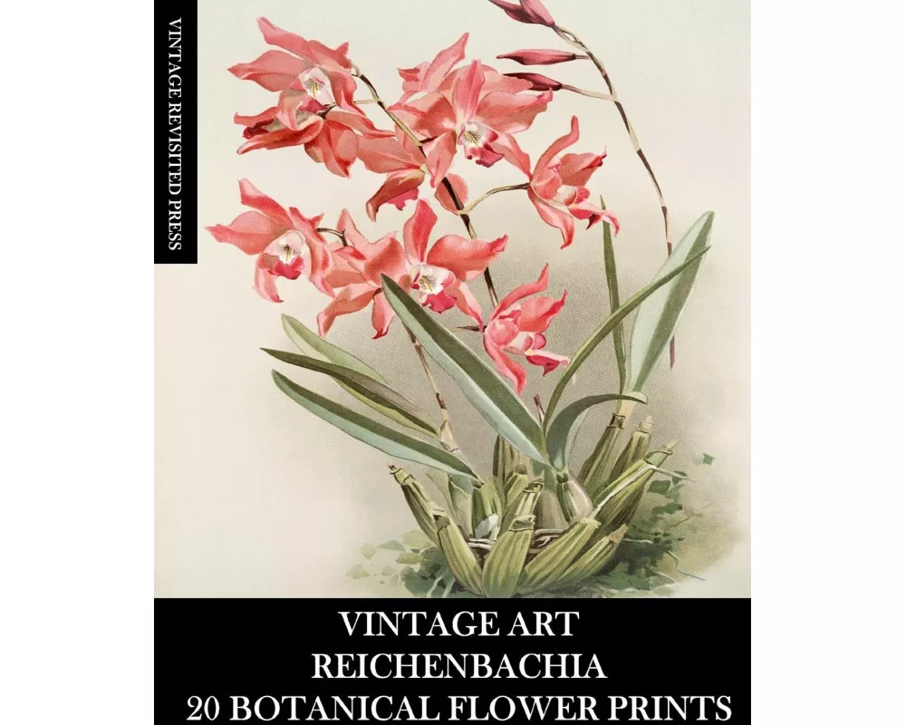 Vintage Art