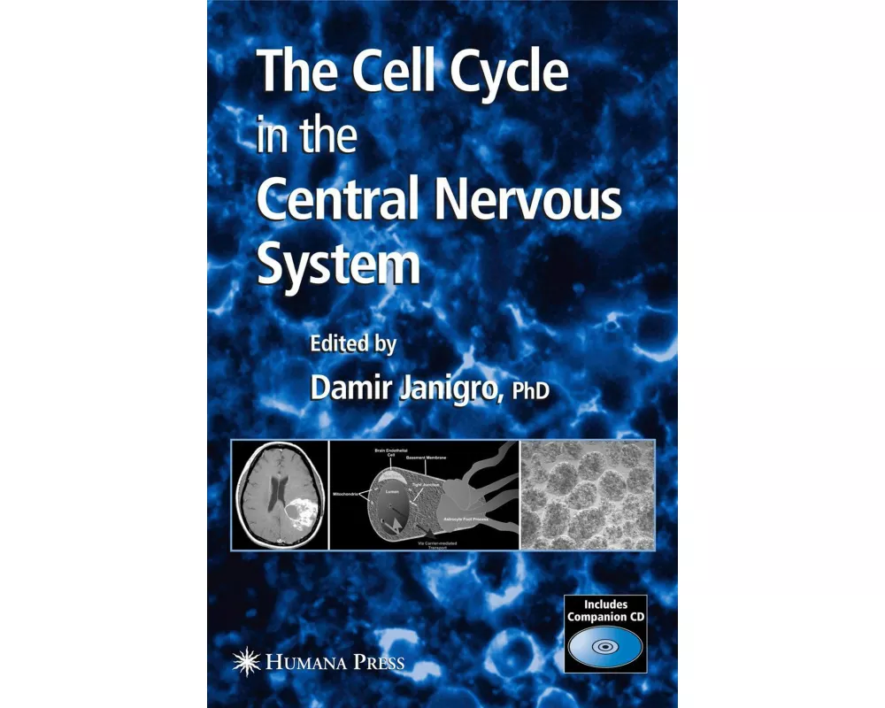 The Cell Cycle in the Central Nervous System