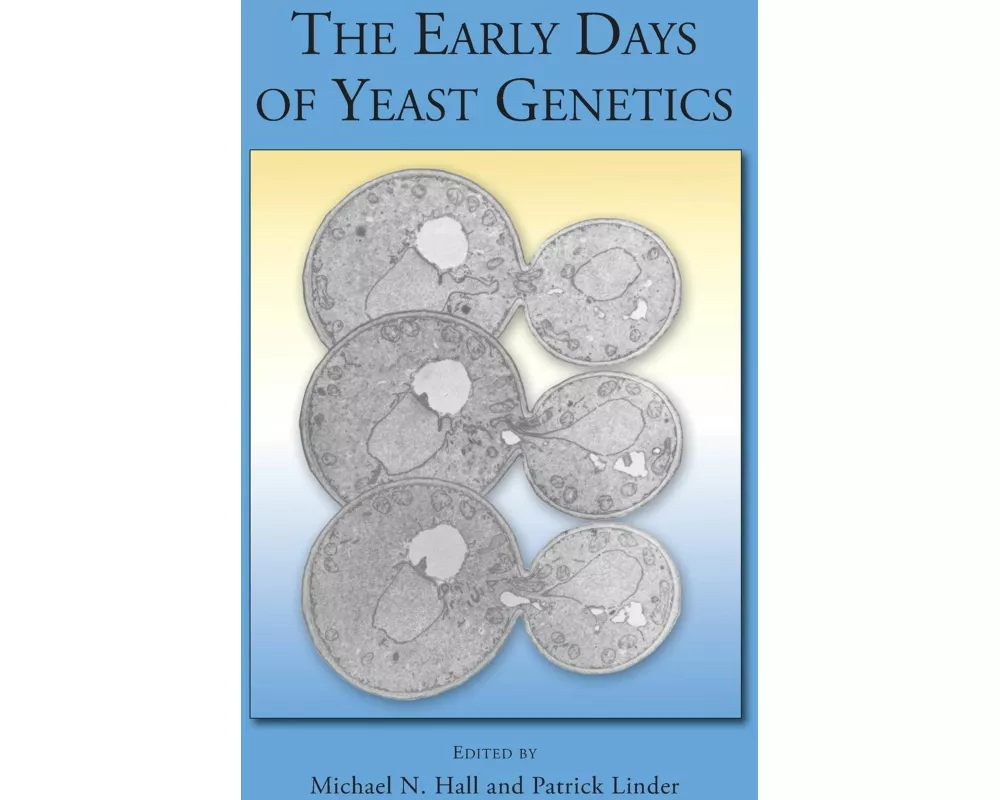The Early Days of Yeast Genetics
